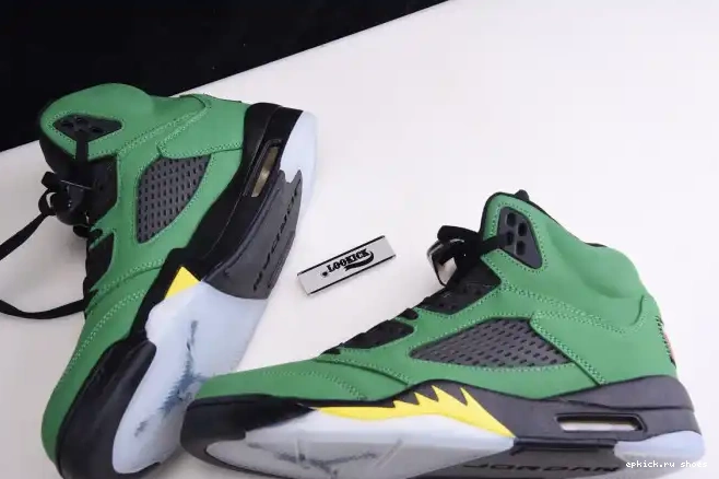 Rep 5 CK6631-307 Ducks Jordan SE Oregon Air 0525